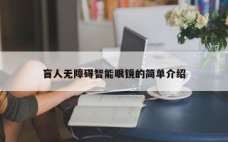 盲人无障碍智能眼镜的简单介绍