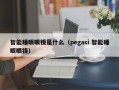 智能睡眠眼镜是什么（pegasi 智能睡眠眼镜）