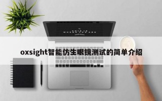 oxsight智能仿生眼镜测试的简单介绍