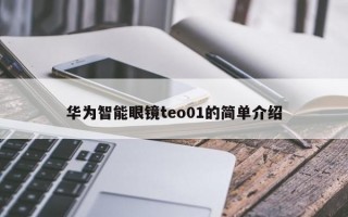 华为智能眼镜teo01的简单介绍