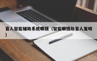 盲人智能辅助系统眼镜（智能眼镜助盲人复明）